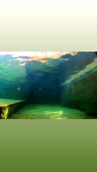 sedonaskyxo sedonaskyxo archive video