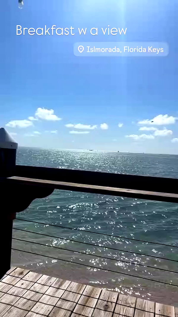 skydavisson_ archive video preview
