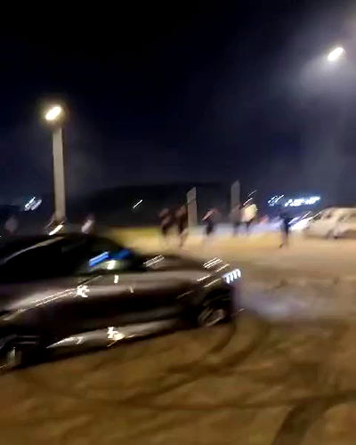 simp_for_cats_ simp_for_cats_ archive video