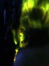 ll3nh3ntai Altpins Profile Picture