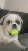 daniiiiichka Altpins Profile Picture