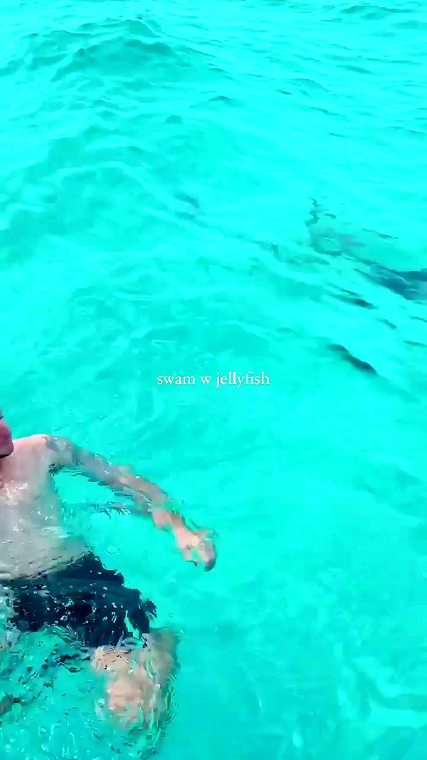 stateofrachel archive video preview