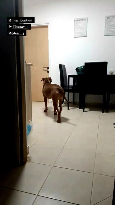 tinapavlov.sky tinapavlov.sky archive video