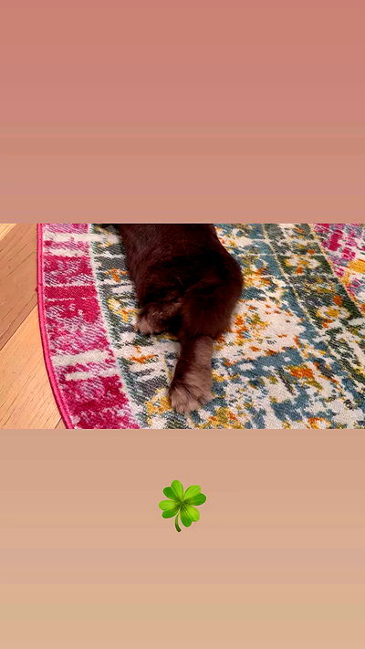 neiimaaa neiimaaa archive video