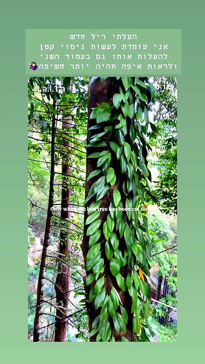 g.a.l.1.a g.a.l.1.a archive video