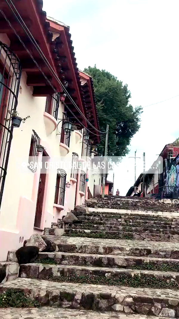 noa_mendel_ archive video preview