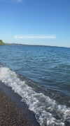 c3nere_ Altpins Profile Picture