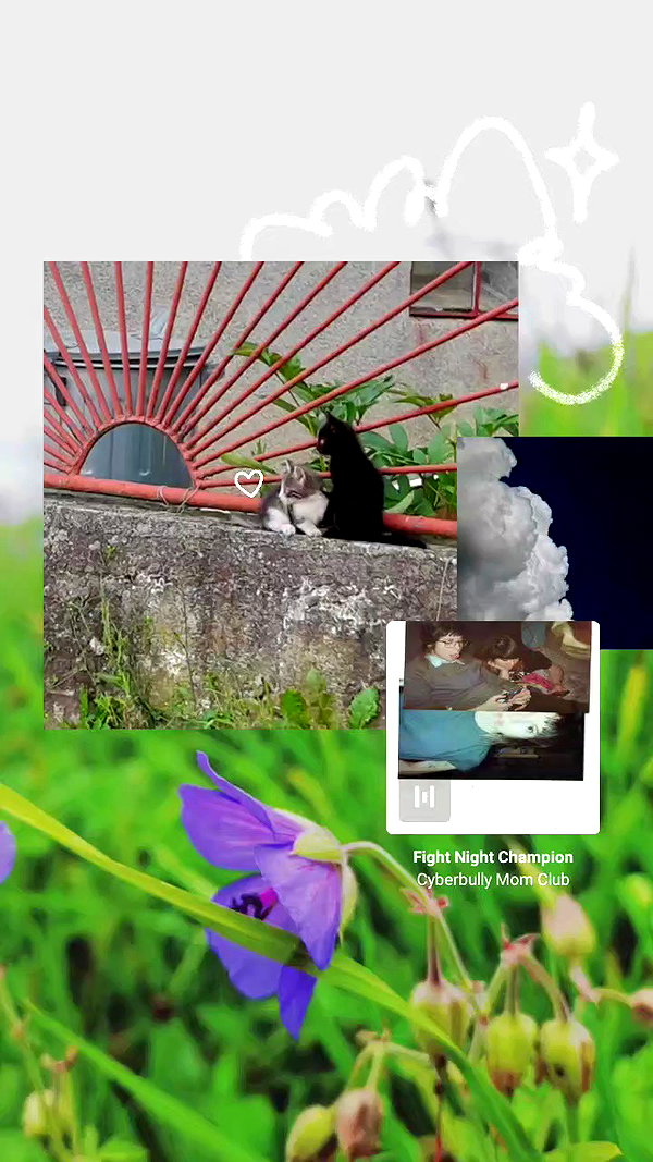 kyshenec archive video preview