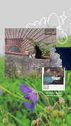 kyshenec Altpins Profile Picture