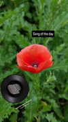 zz.eazoning Altpins Profile Picture