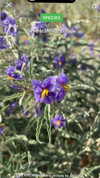 lotembar Altpins Profile Picture