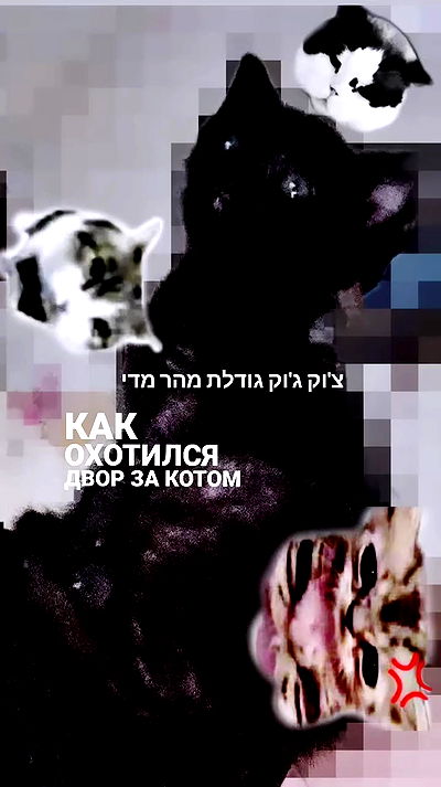 moonyyyya moonyyyya archive video