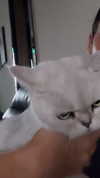 dasha.ilyushchyts Altpins Profile Picture