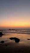 noa_mendel_ Altpins Profile Picture