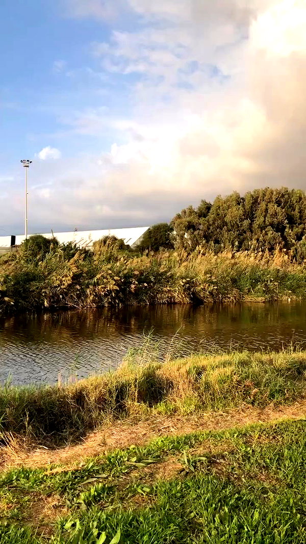 __noamche__ archive video preview