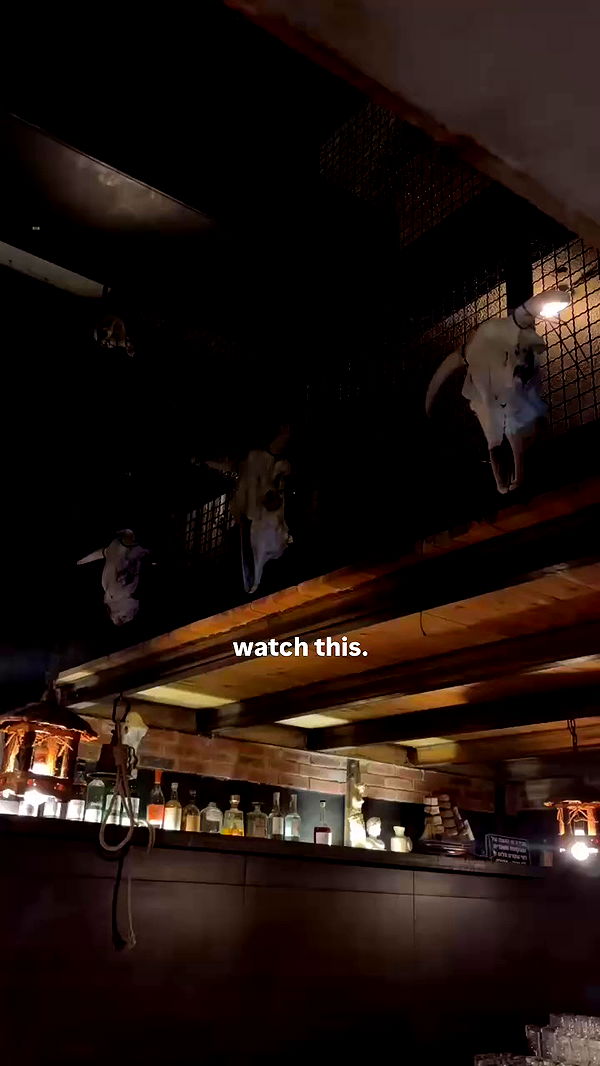 napopo_pub archive video preview