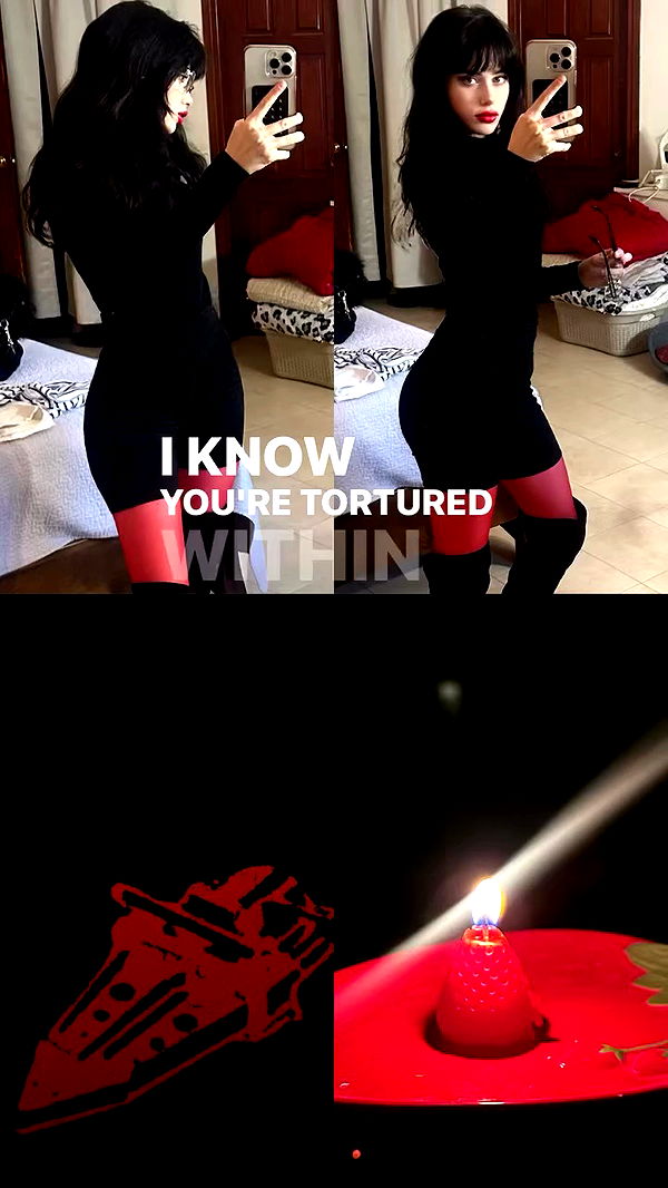 moonliliaght archive video preview