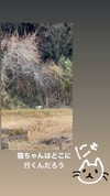 ochya0 Altpins Profile Picture