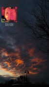 nep.tune.ee Altpins Profile Picture