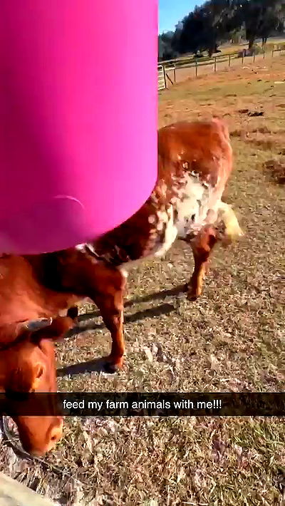 sophieraiin sophieraiin archive video