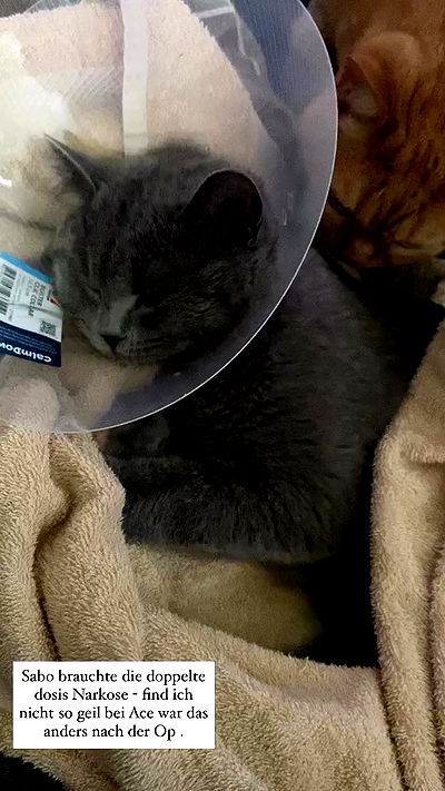 yoo.mon yoo.mon archive video