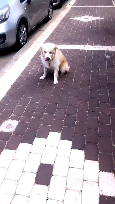 feelbetterinmysweater feelbetterinmysweater archive video