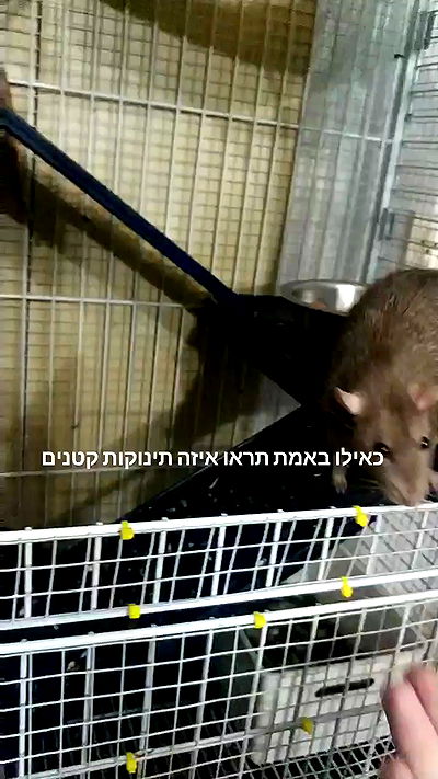 moonyyyya moonyyyya archive video