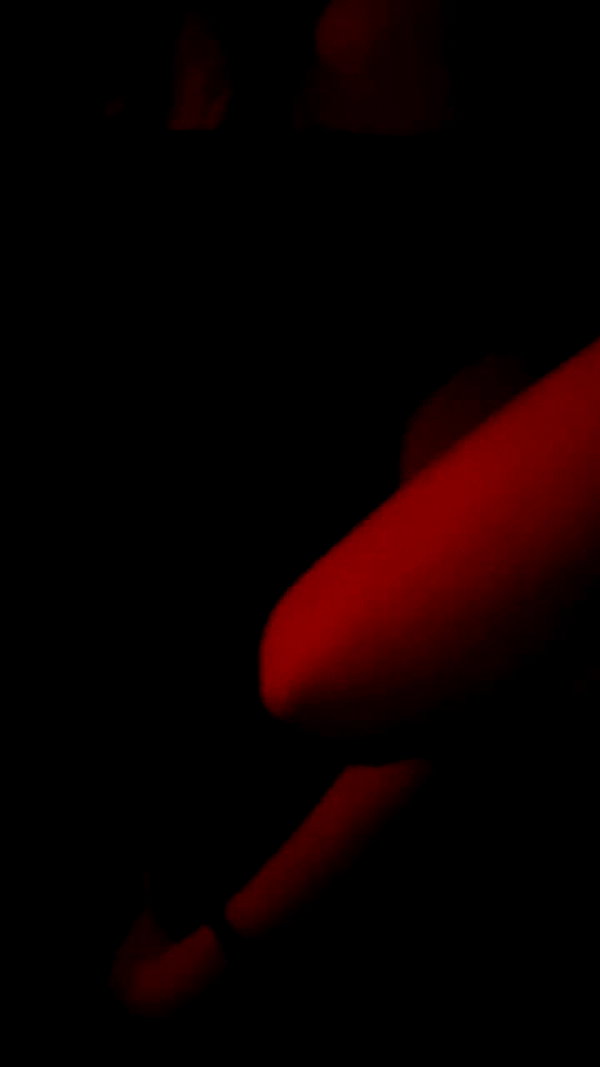 noyagellis archive video preview