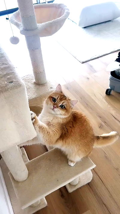 itsilanosh itsilanosh archive video