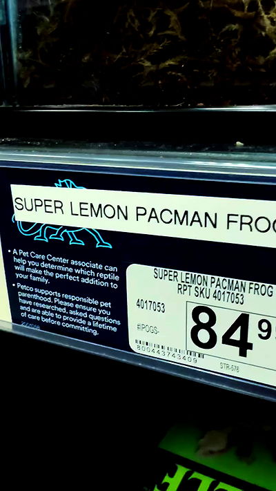 zommmbri zommmbri archive video