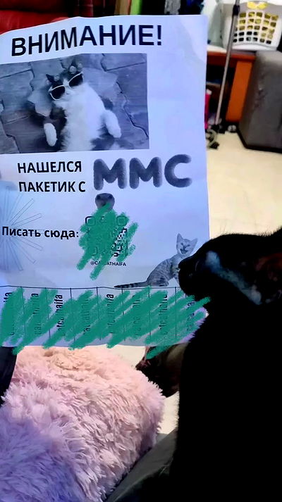 moonyyyya moonyyyya archive video