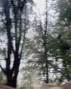 alenittta Altpins Profile Picture