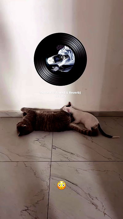 natalllluli natalllluli archive video