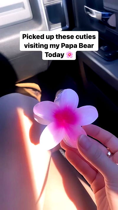 war_hamster6 war_hamster6 archive video