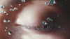 kyliejenner Altpins Profile Picture