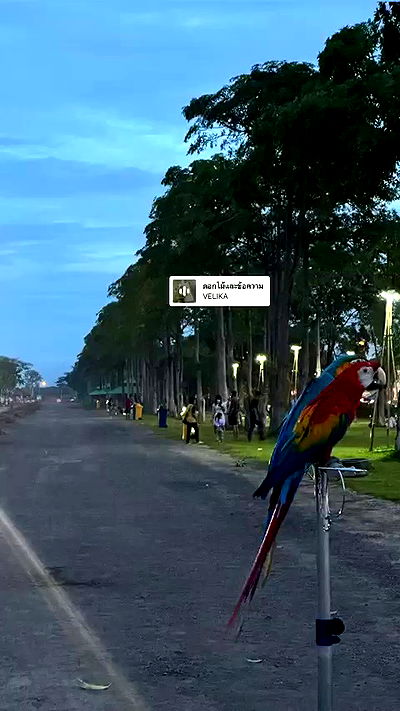 oqr0_ oqr0_ archive video