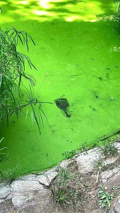 noyaislilith333 noyaislilith333 archive video