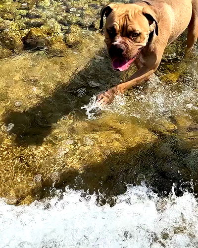 kesemgreenyer kesemgreenyer archive video