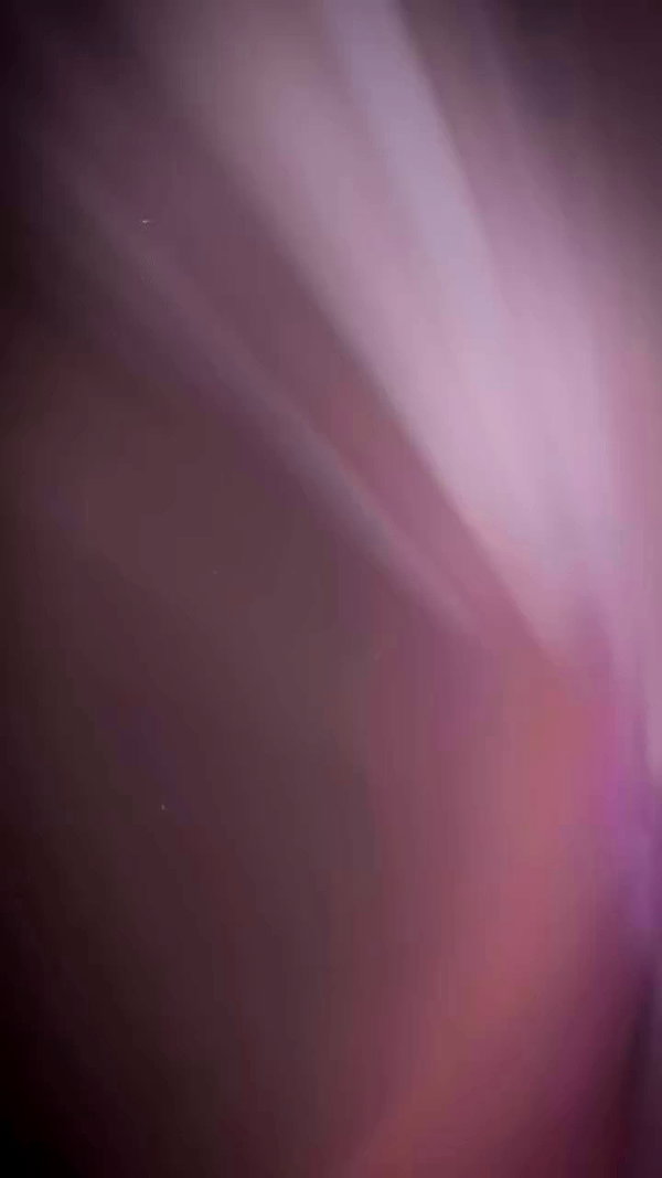 suadaunanh_ne archive video preview
