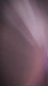 suadaunanh_ne Altpins Profile Picture