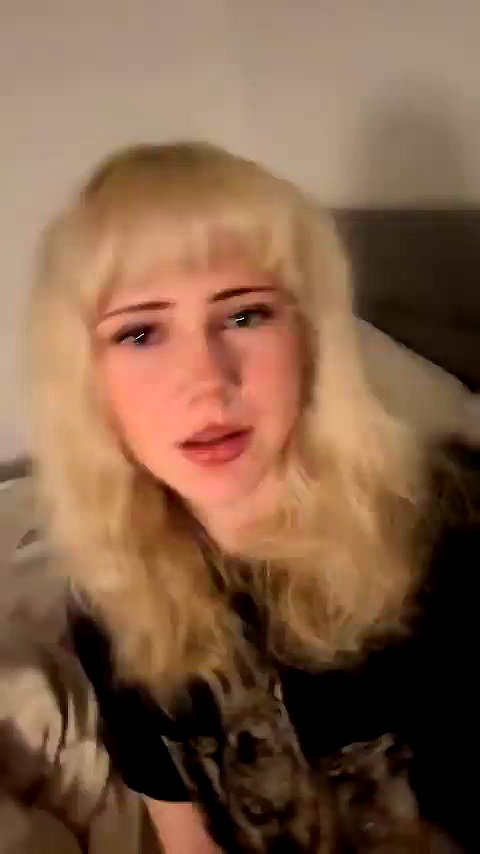 bibblepublic archive video preview