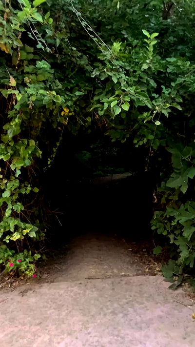 elianachetrit elianachetrit archive video