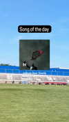 zz.eazoning Altpins Profile Picture