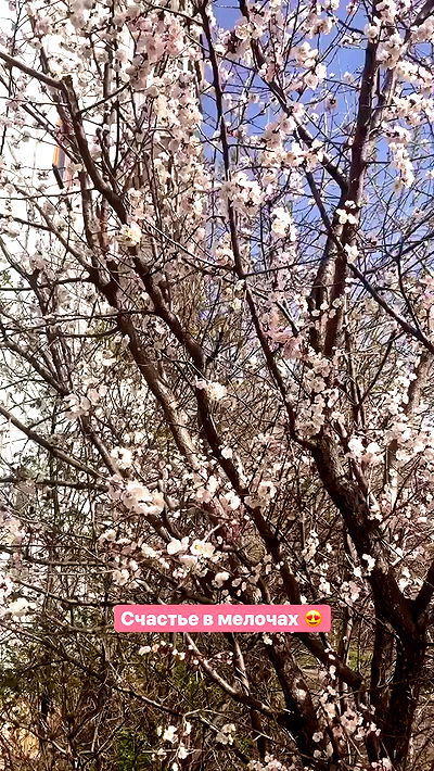 nyityam nyityam archive video