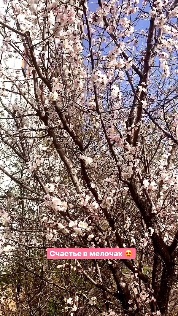 nyityam archive video preview