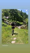 zombaieee Altpins Profile Picture