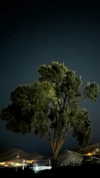 gh0stbl4d3 Altpins Profile Picture
