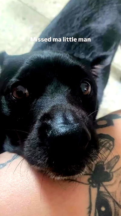 lilllush lilllush archive video