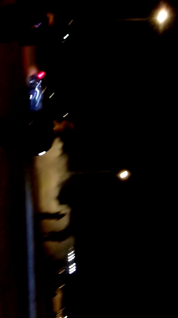 simp_for_cats_ archive video preview