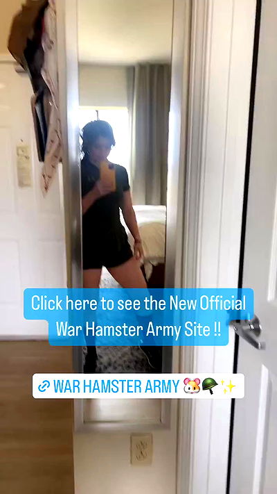war_hamster6 war_hamster6 archive video
